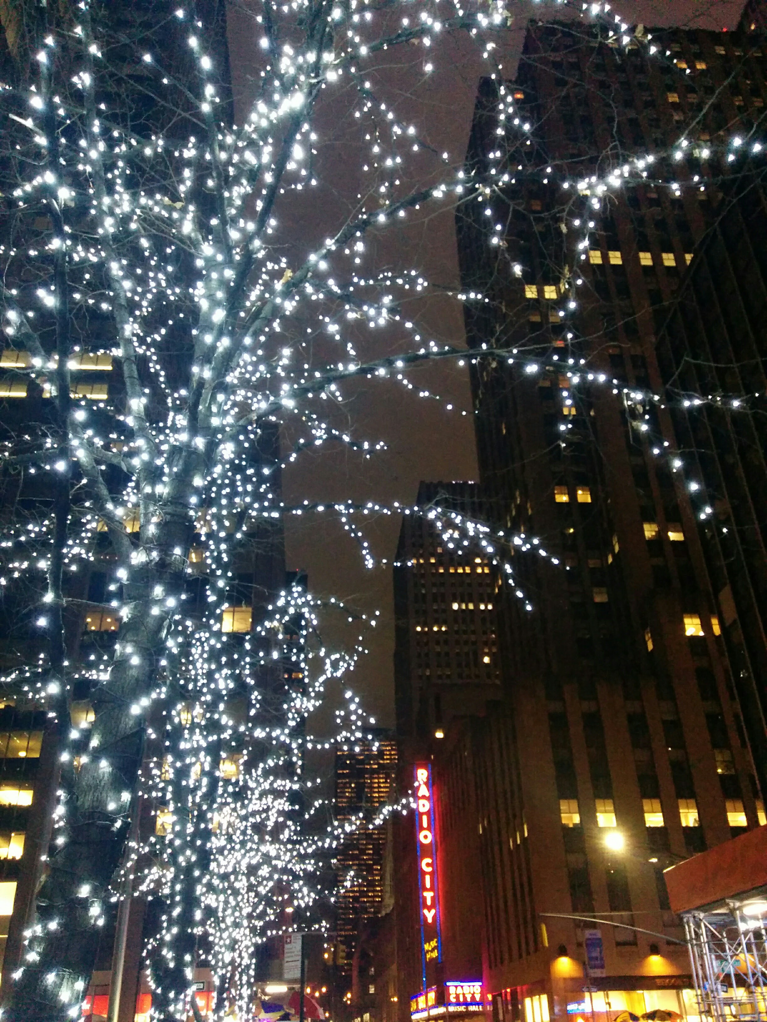 Lights on Tree by Radio City Music Hall